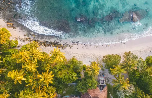 Die Unterwasserwelt  in Sri Lankas tropischem Osten erkunden